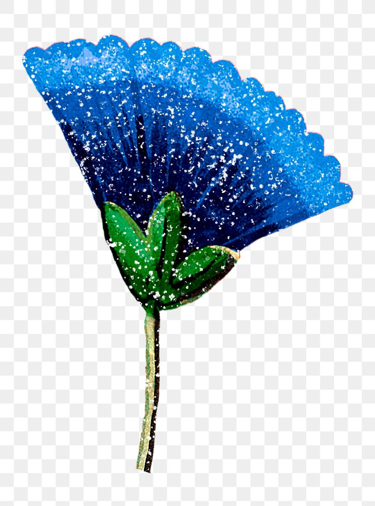 Blue flower png sticker, transparent background