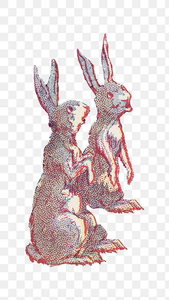 PNG Two bunnies cartoon, vintage animal illustration by Wells, Richardson & Co, transparent background.  Remixed by…