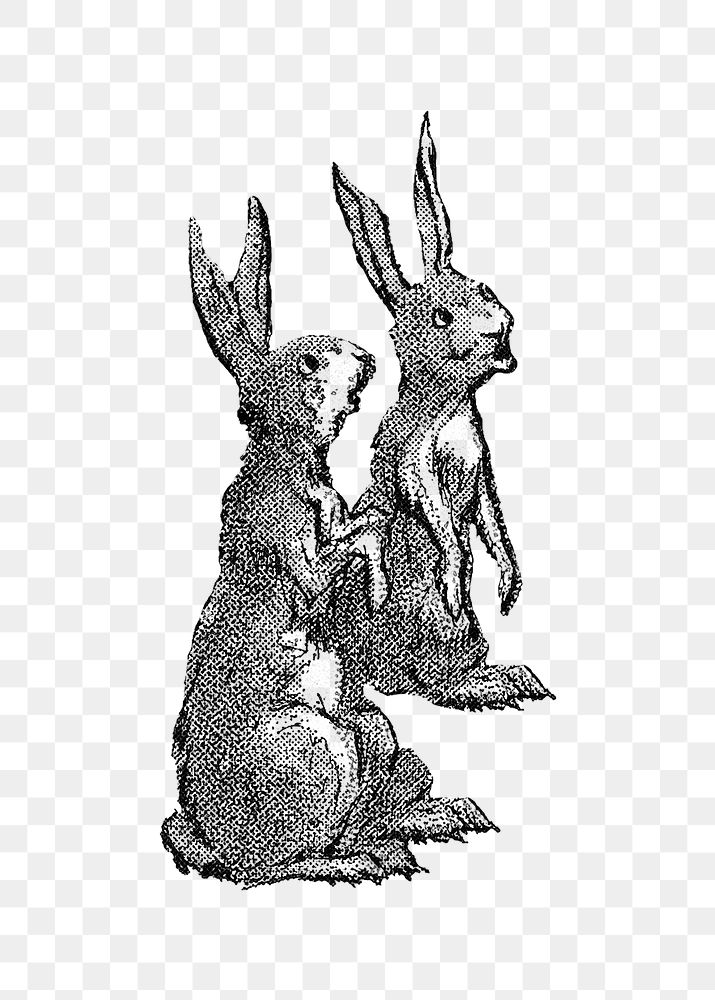 PNG Two bunnies cartoon, vintage animal illustration by Wells, Richardson & Co, transparent background.  Remixed by…