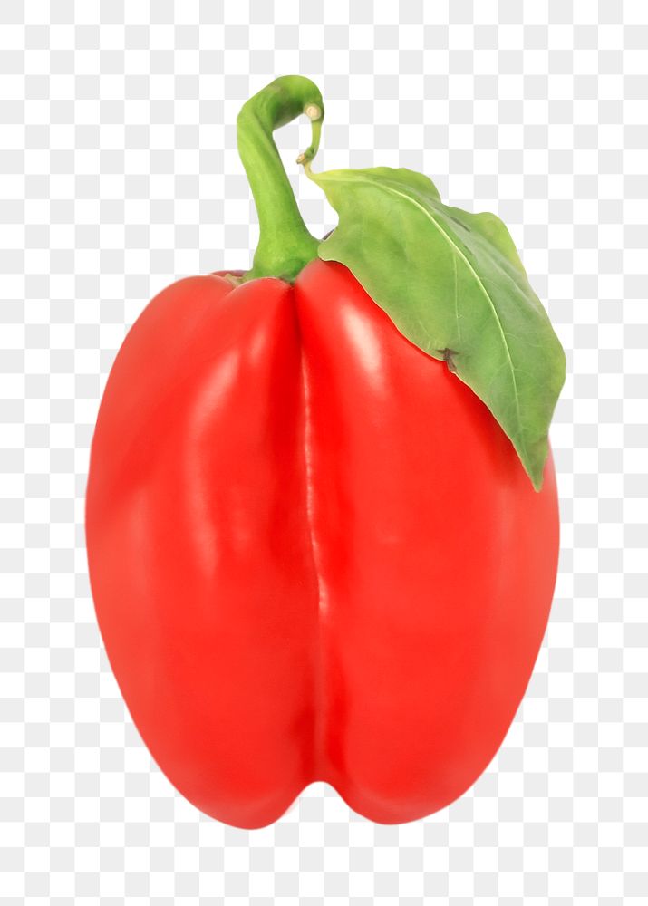 Red bell pepper png, transparent background