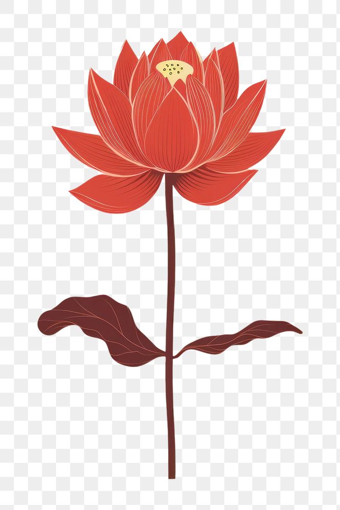 PNG Minimalist Illustration of lotus painting blossom dahlia.