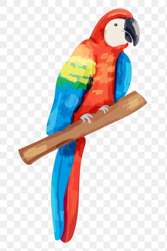 Parrot sticker png, watercolor bird illustration on transparent background 