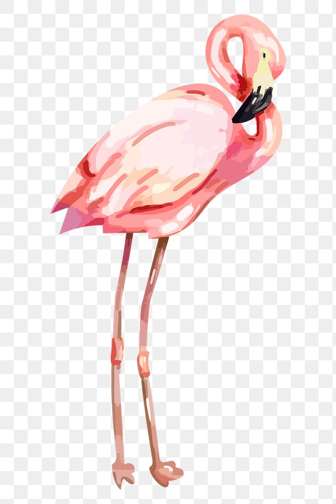 Pink flamingo png sticker, watercolor illustration, transparent background