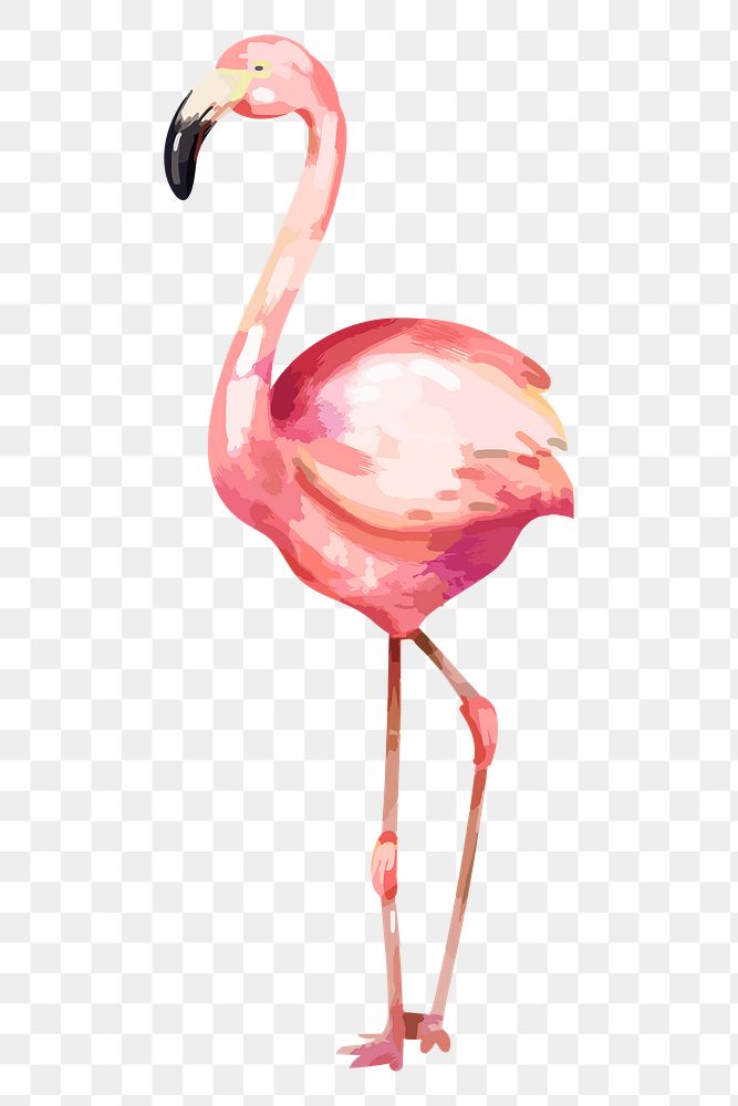 Pink flamingo png sticker, watercolor illustration, transparent background