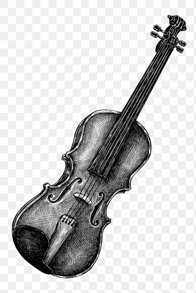 Hand drawn violin design element