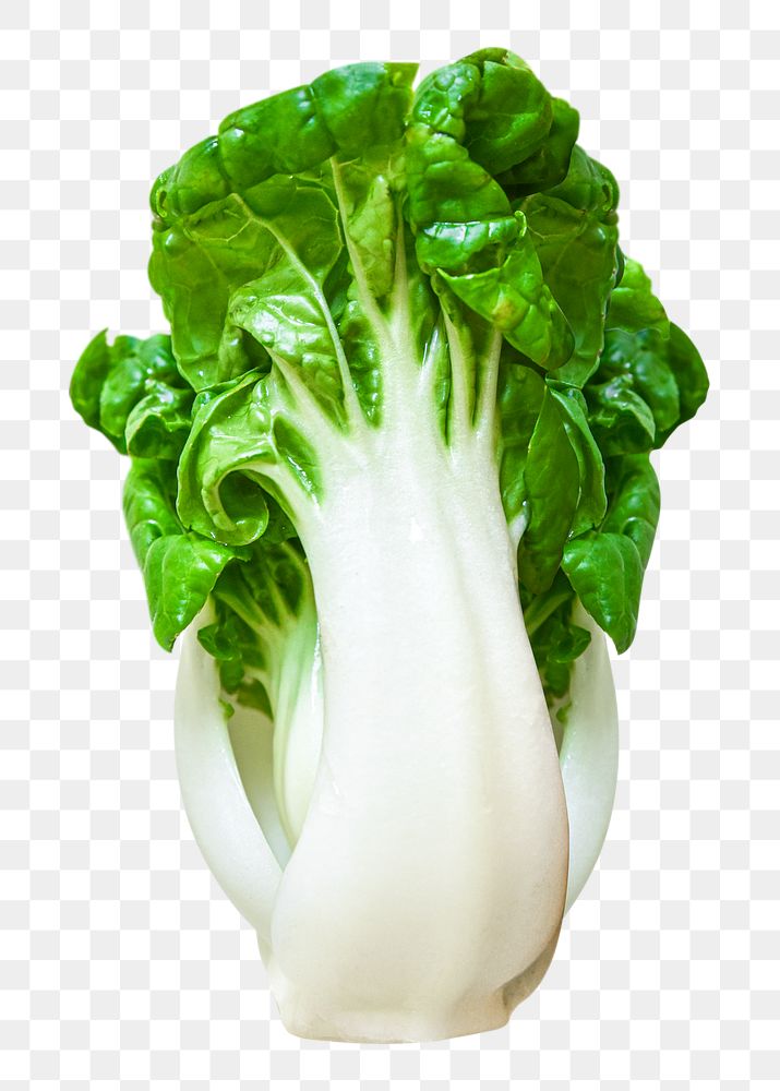 Bokchoi png clipart, organic Chinese vegetable