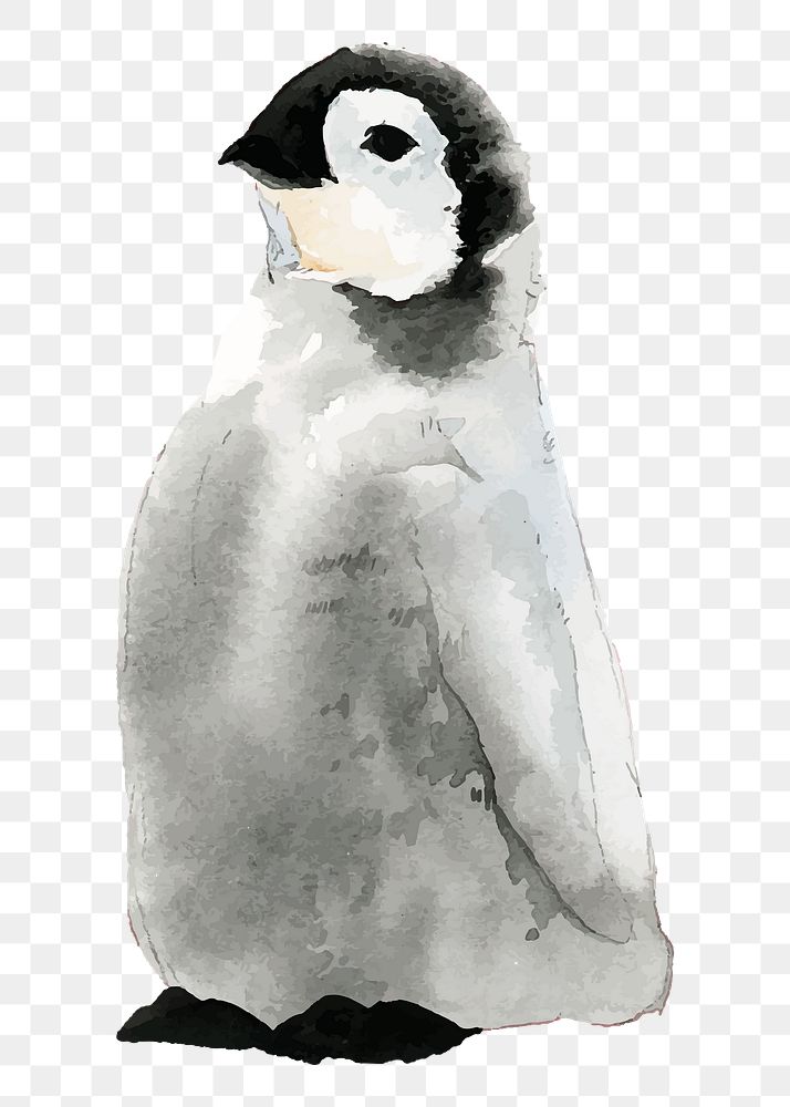 Baby penguin png clipart, watercolor animal illustration on transparent background