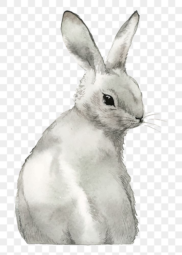 Easter bunny png clipart, watercolor animal illustration on transparent background