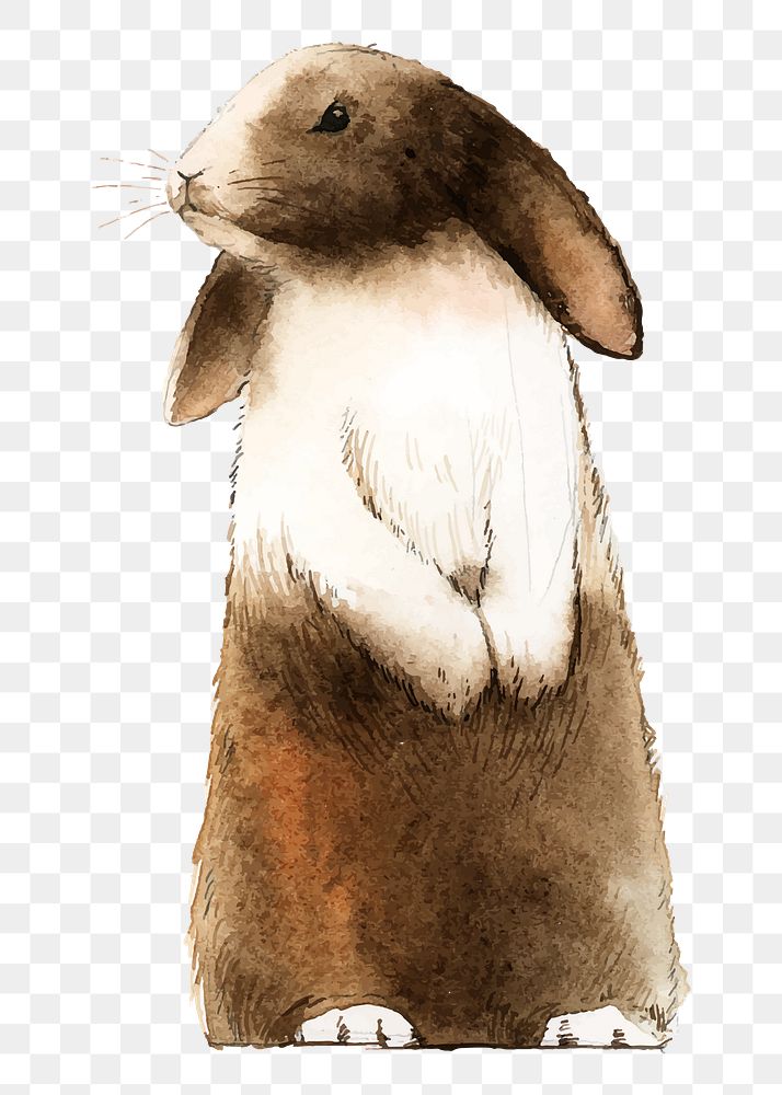 Easter rabbit png clipart, watercolor animal illustration on transparent background