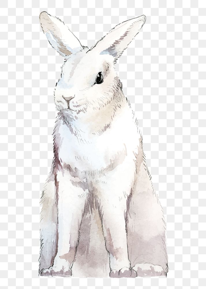 Easter bunny png clipart, watercolor animal illustration on transparent background