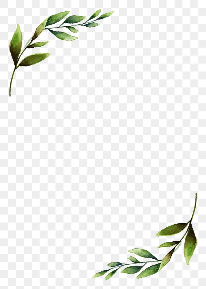 Watercolor leaf png border frame, transparent background