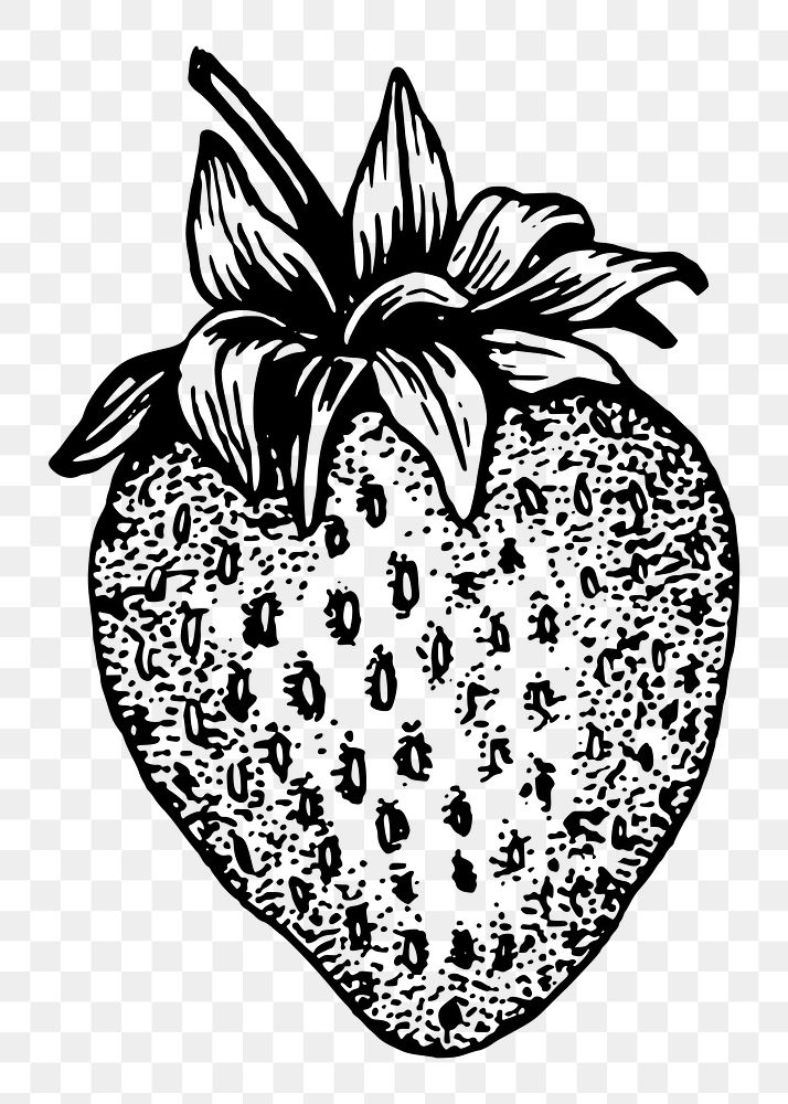 Hand drawn strawberry clipart, transparent background. Free public domain CC0 graphic
