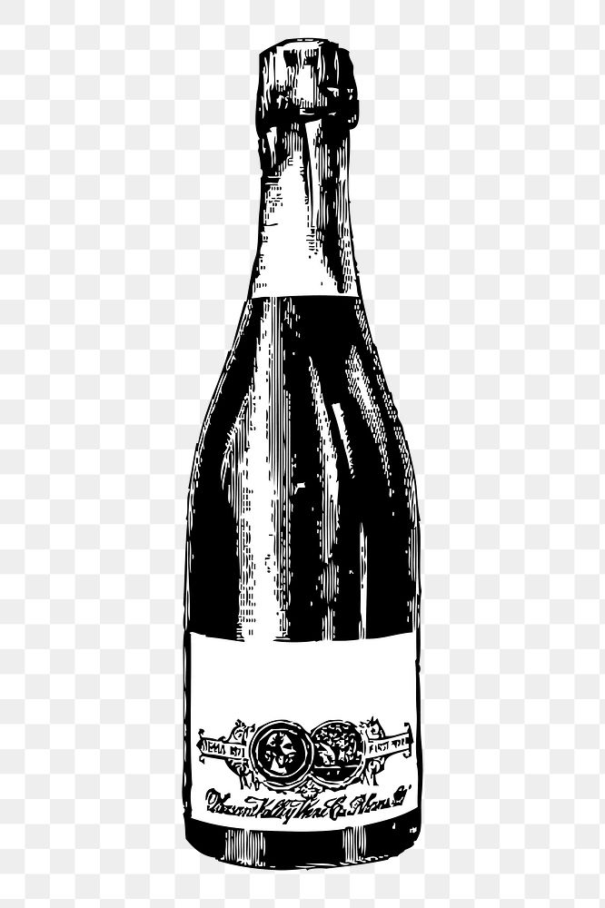 Premium Vector | Wine bottle and glass hand drawn engraving sketch style  vector illustrations
