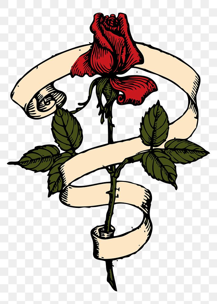 Red rose png sticker, flower illustration, transparent background. Free public domain CC0 image.