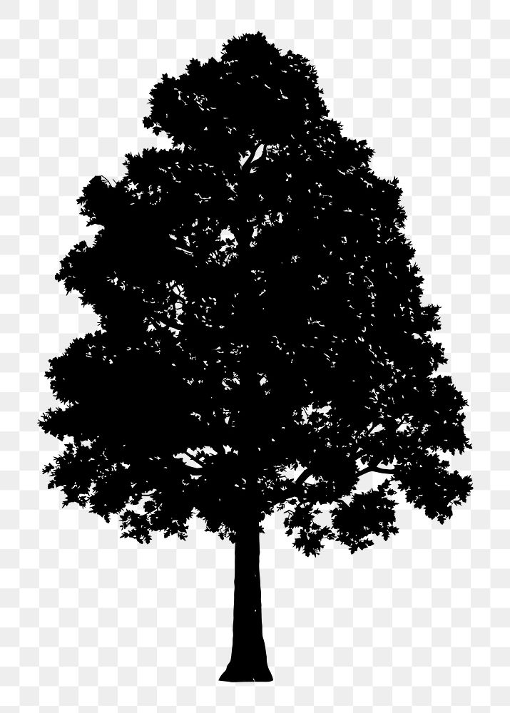 Pin Oak png tree sticker nature silhouette, transparent background. Free public domain CC0 image.