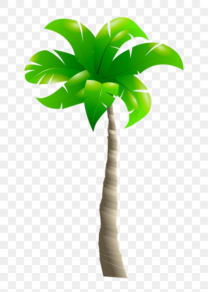 Palm tree png sticker, nature illustration on transparent background. Free public domain CC0 image.