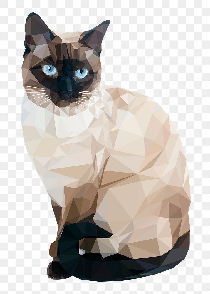 Siamese cat png sticker illustration, transparent background. Free public domain CC0 image.