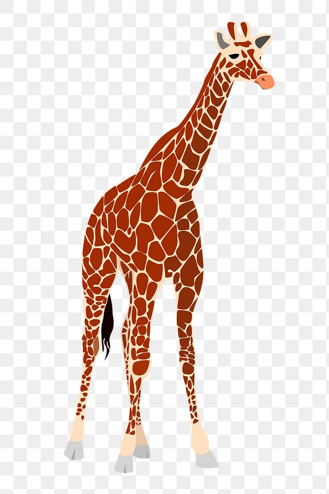 Giraffe animal png sticker illustration, transparent background. Free public domain CC0 image.