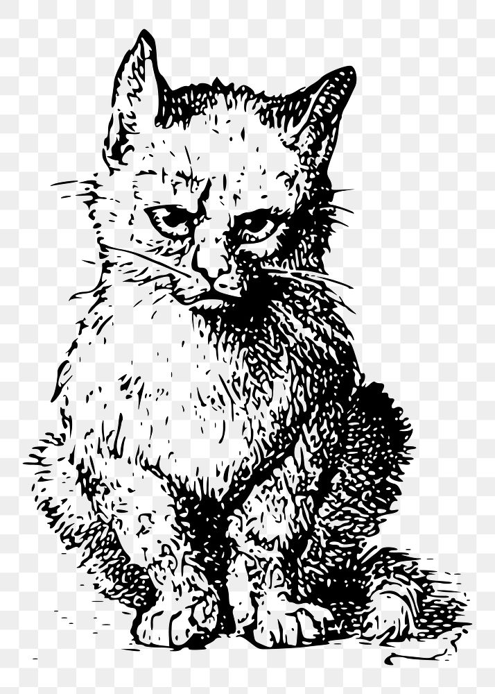 Sitting kitten png sticker vintage animal illustration, transparent background. Free public domain CC0 image.