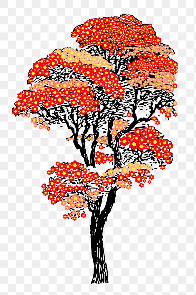 Japanese autumn tree png sticker, transparent background. Free public domain CC0 image.