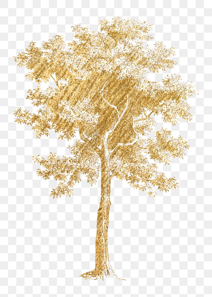 Gold tree png sticker, nature aesthetic illustration, transparent background