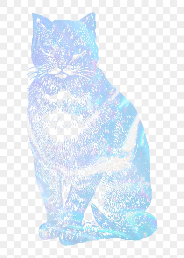 Cat png sticker, aesthetic holographic illustration, transparent background