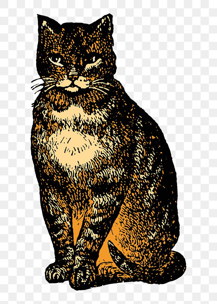 Cat, pet png sticker, vintage animal illustration, transparent background