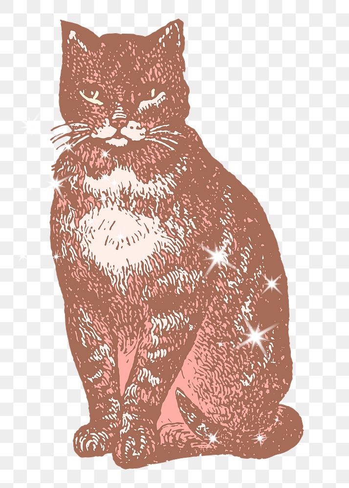 Sitting cat png sticker, pet sparkly aesthetic illustration, transparent background