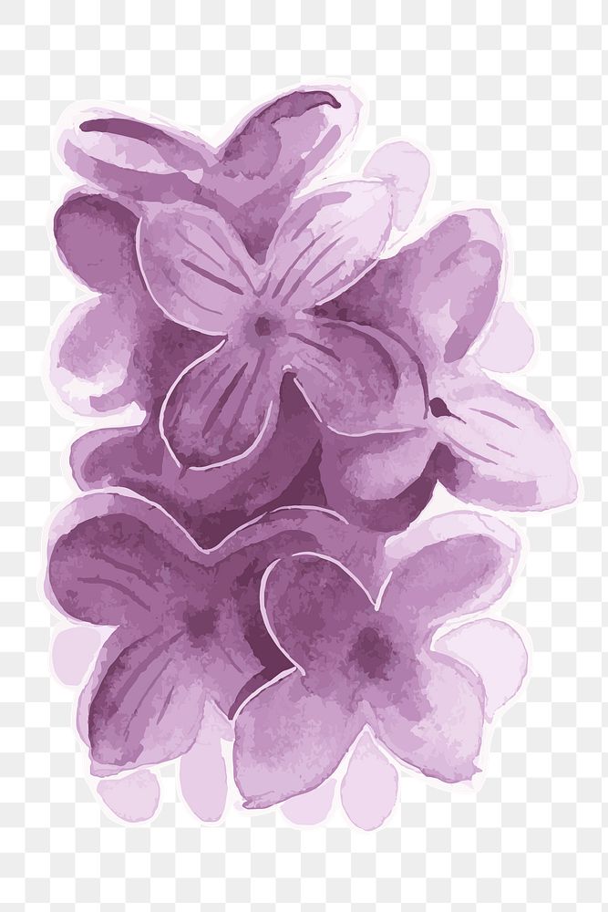 Purple lilac flower transparent png watercolor sticker