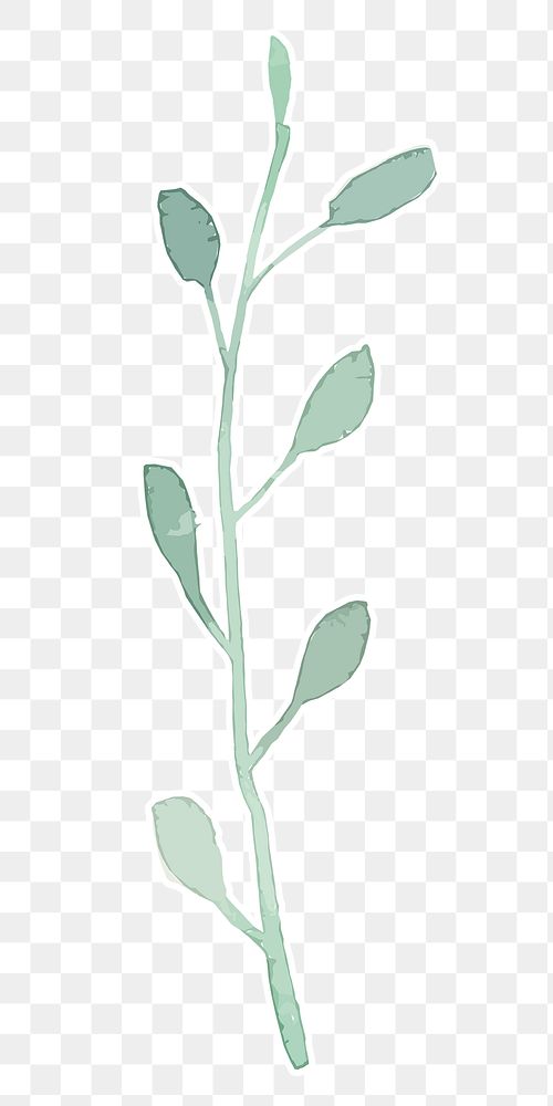 Green plant transparent png watercolor sticker