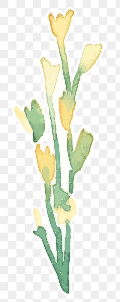 Yellow flower plant transparent png watercolor sticker