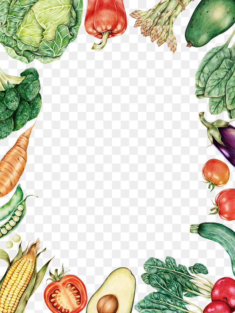Organic vegetable frame png botanical illustration