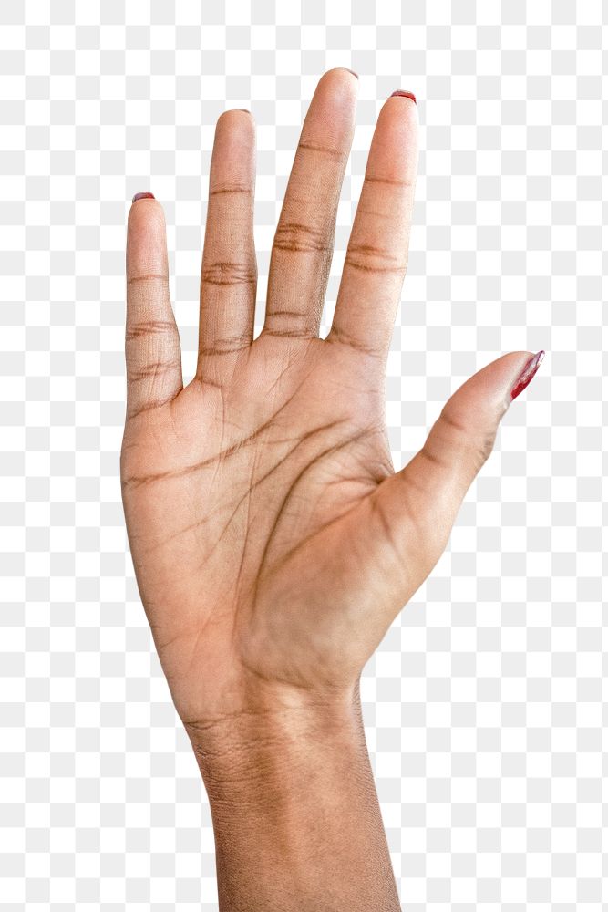 Hand raising up in the air to gesture stop transparent png