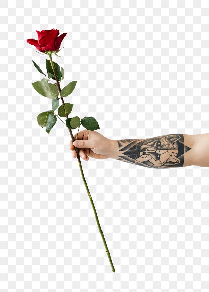 Tattooed hand with a rose transparent png