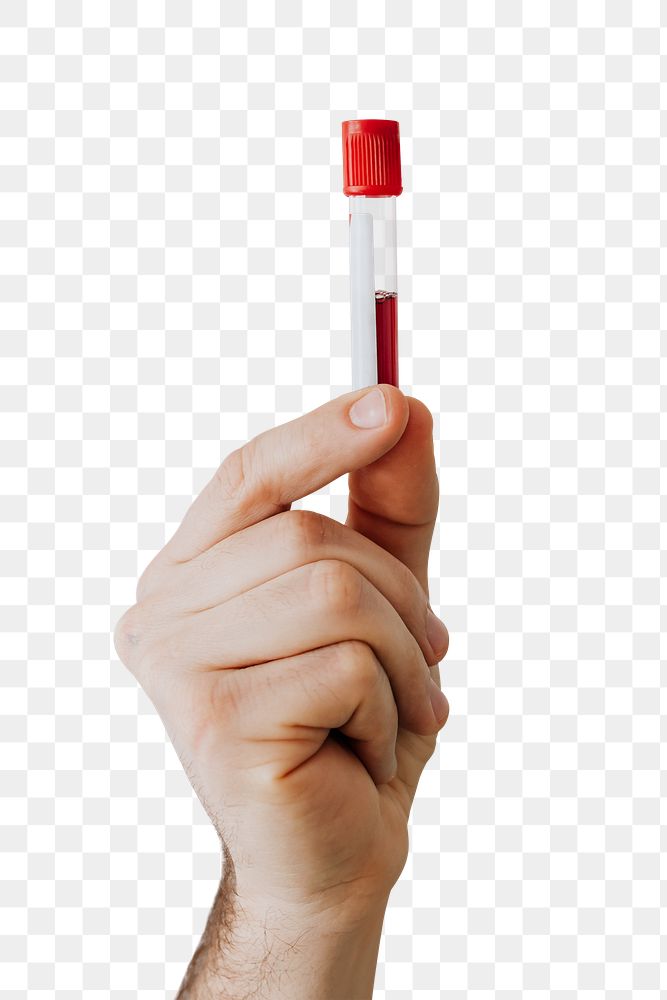 Hand holding a blood test tube transparent png