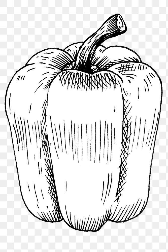 Black and white png bell pepper with transparent background