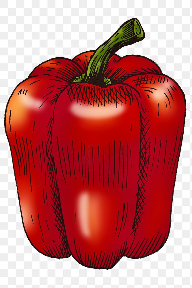 Colorful bell pepper isolated png transparent 