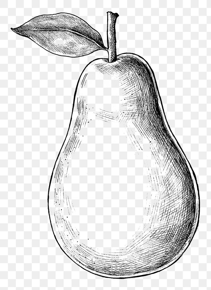 Hand drawn fresh pear fruit transparent png