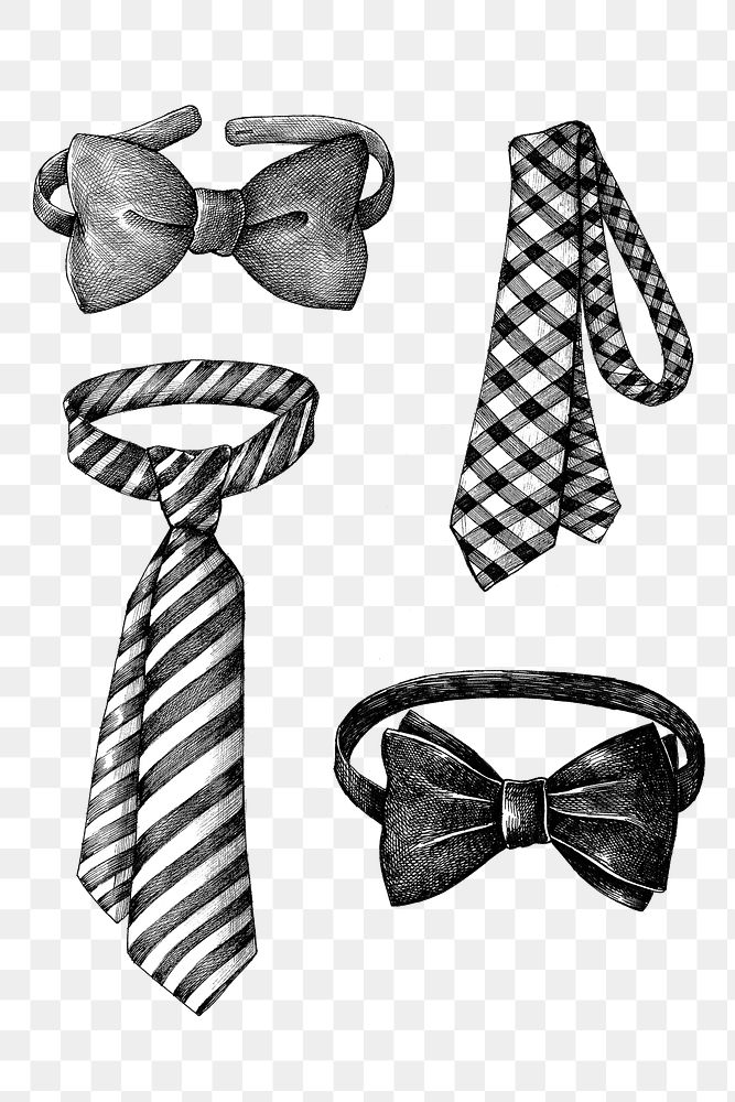 Hand drawn bow and necktie design element