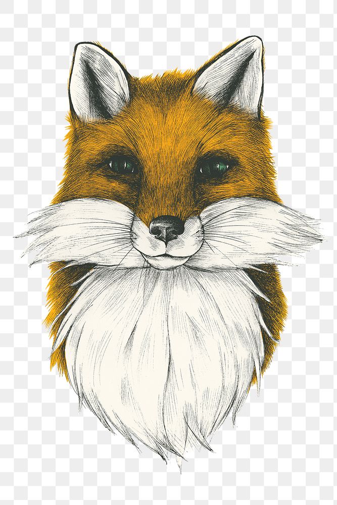 Hand drawn fox design element 