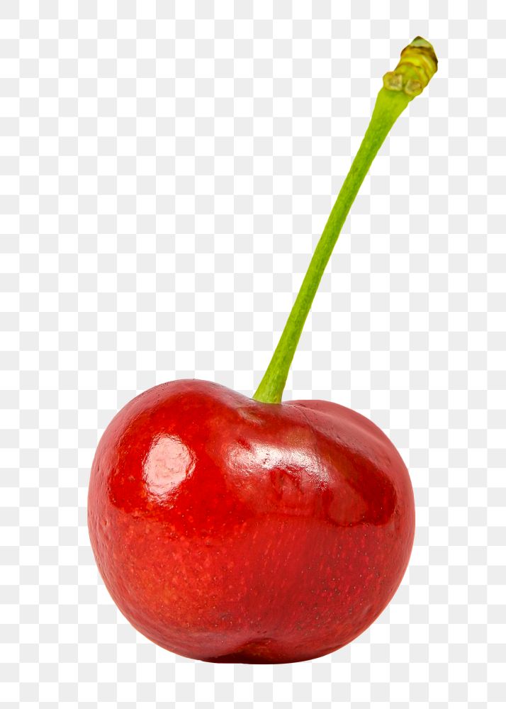 Red cherry png clipart, organic fruit on transparent background