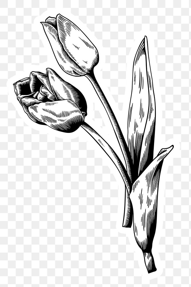 Black and white tulip sticker with a white border design element