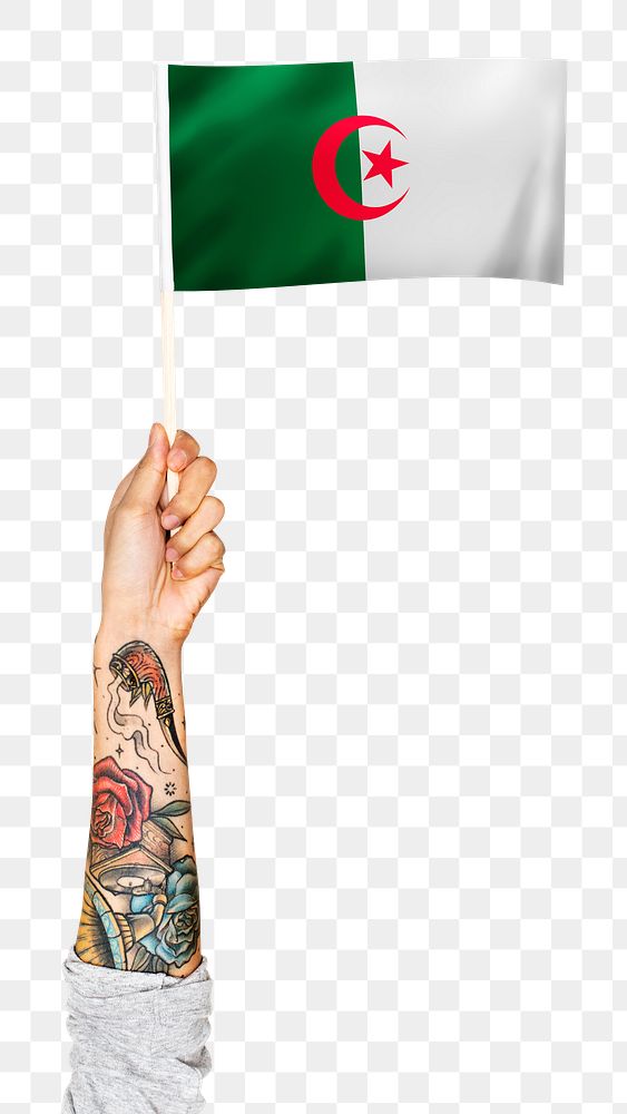 Png Algeria's flag, tattooed hand sticker, national symbol, transparent background