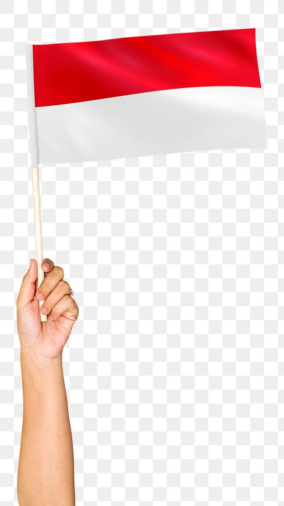 Monaco's flag png in hand sticker on transparent background