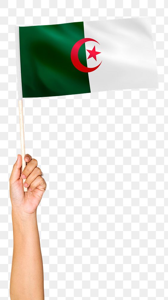 Algeria's flag png in hand sticker on transparent background