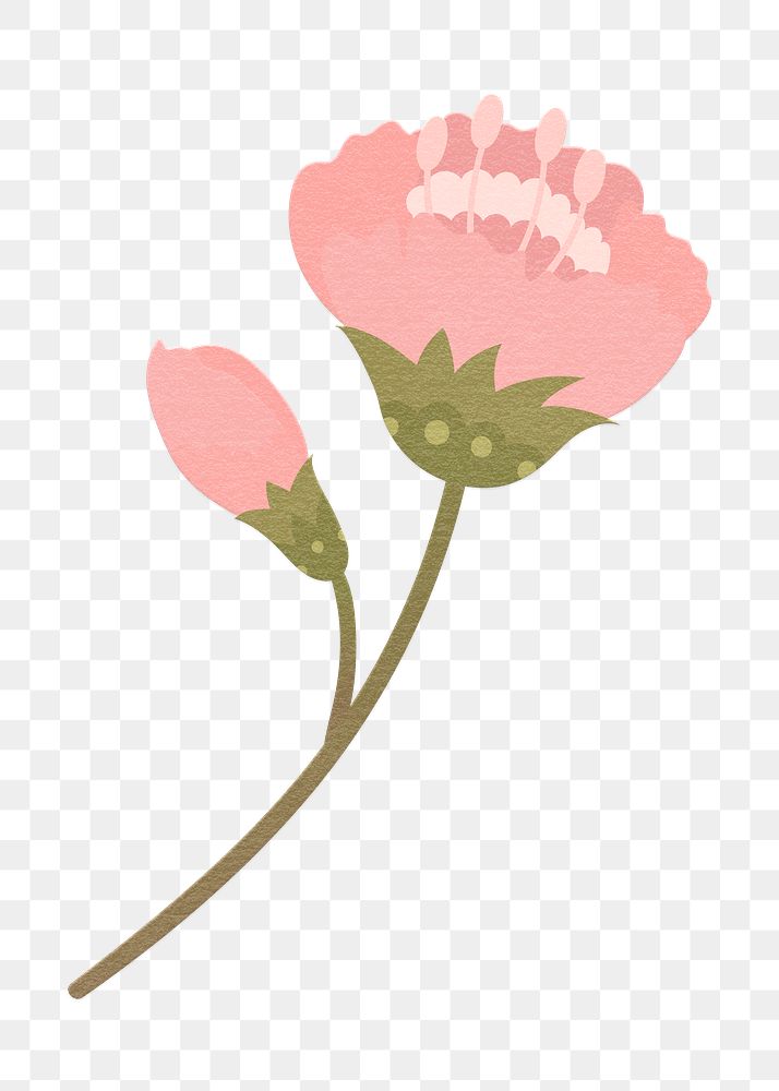 Png pink sakura sticker flower element