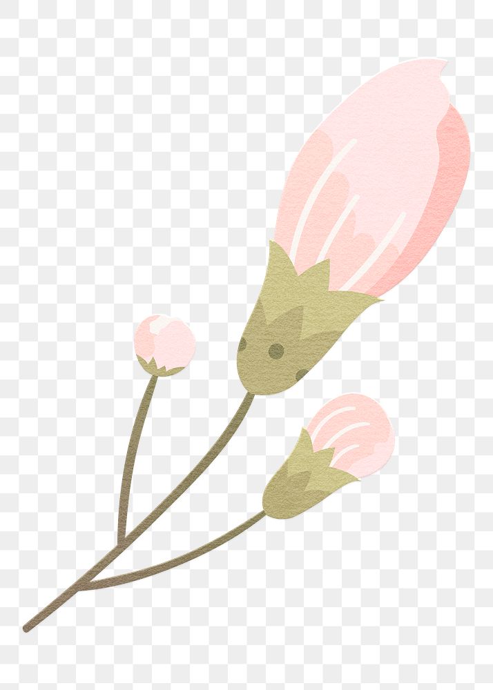 Png pink spring flower design element