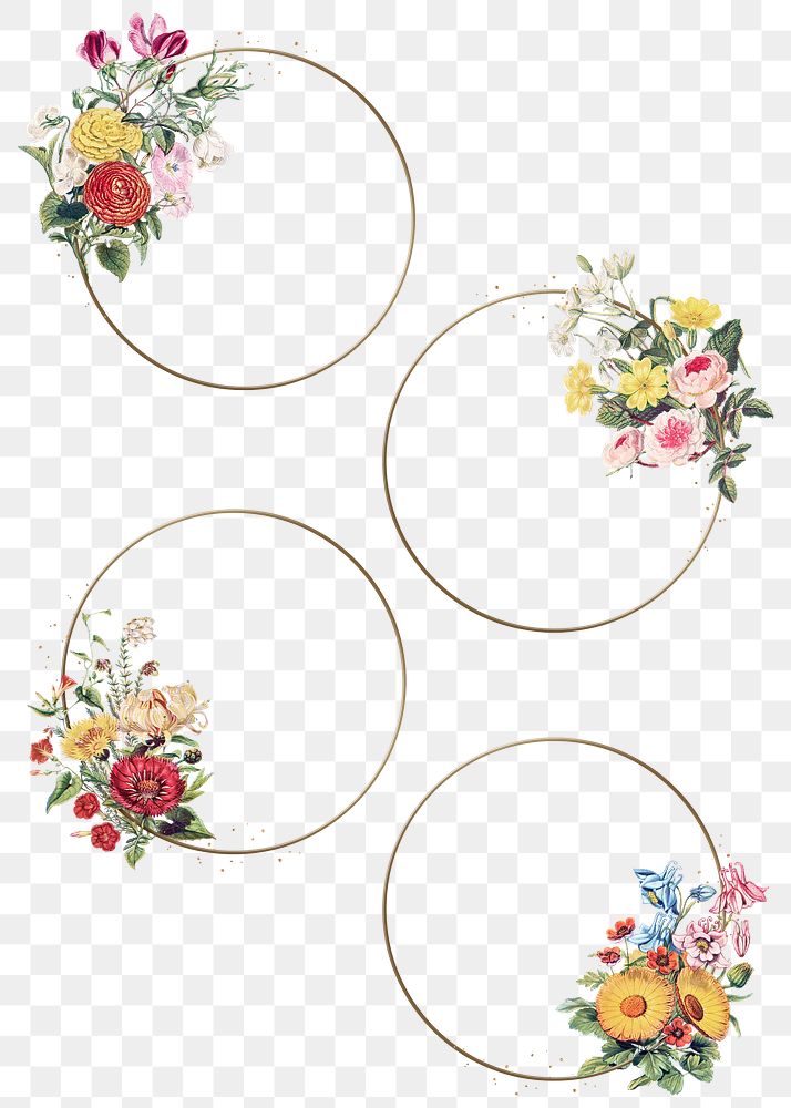 Frame png gold circle with vintage floral illustration se