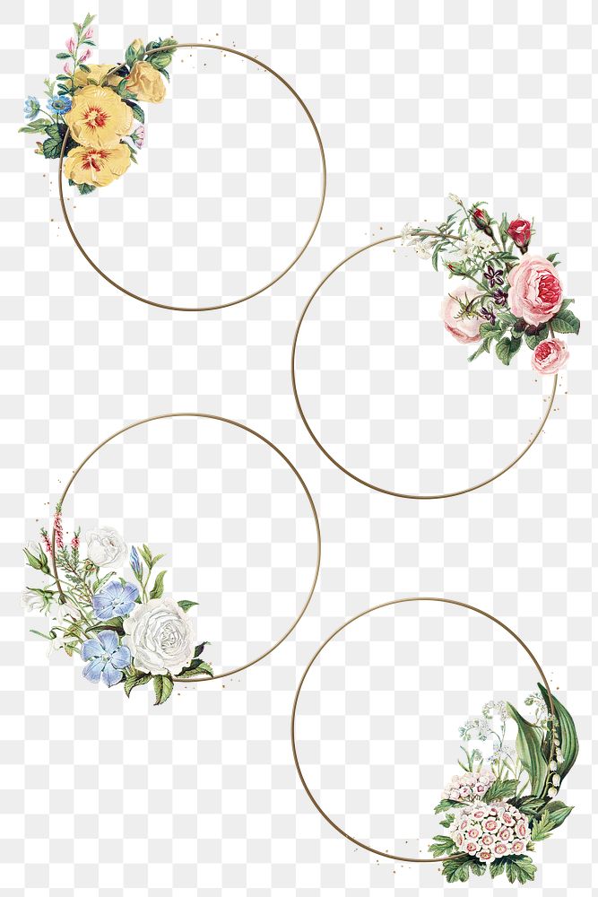 Png frame set gold circles with vintage floral illustrations