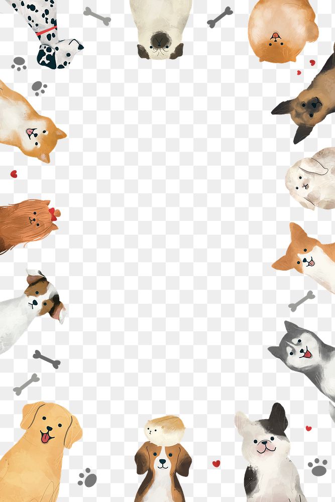 Png frame with cute dogs and cats on transparent background
